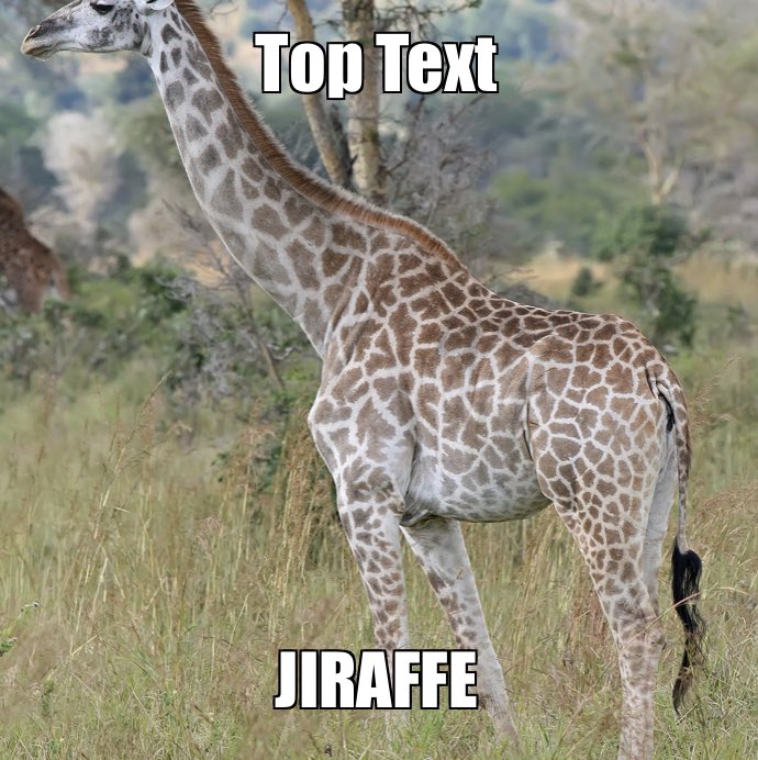 DeleoriousMoira's tweet photo. #JIRAFFE @Tales_of_Taylor https://t.co/Nk088ajUIl