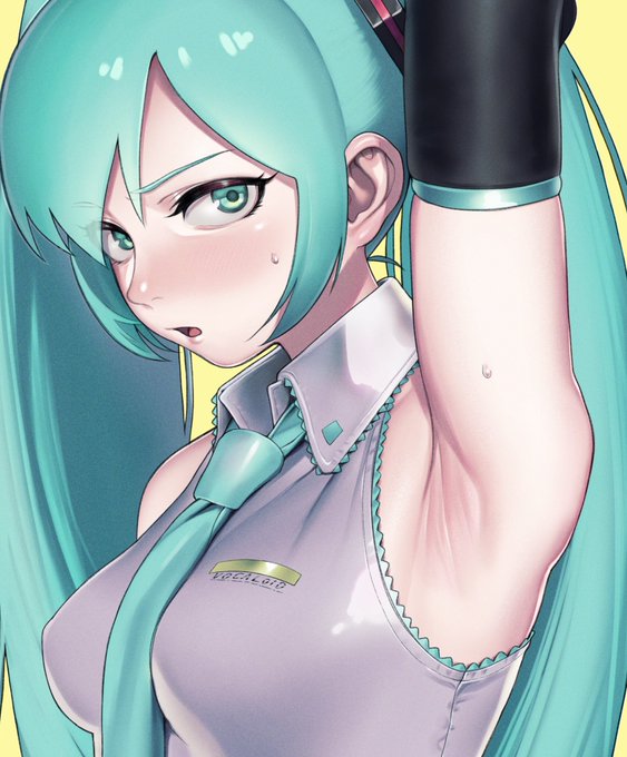 #これでフォロワーさん増えました
去年描いたミクさんと
今年描いたミルコさん 