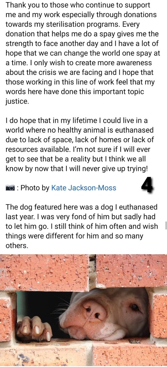 This is A LOT. In more than one way, I know, but I've been feeling so helpless lately because of exactly this. I work so hard to save as many as I can, but the issues is so much bigger. I don't know what to do except try to make people understand. I have to try