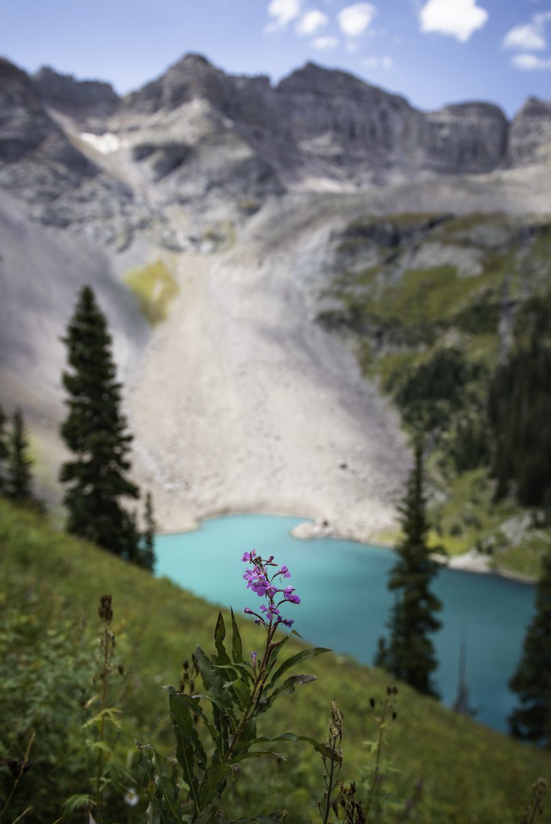 Annie May tweet media