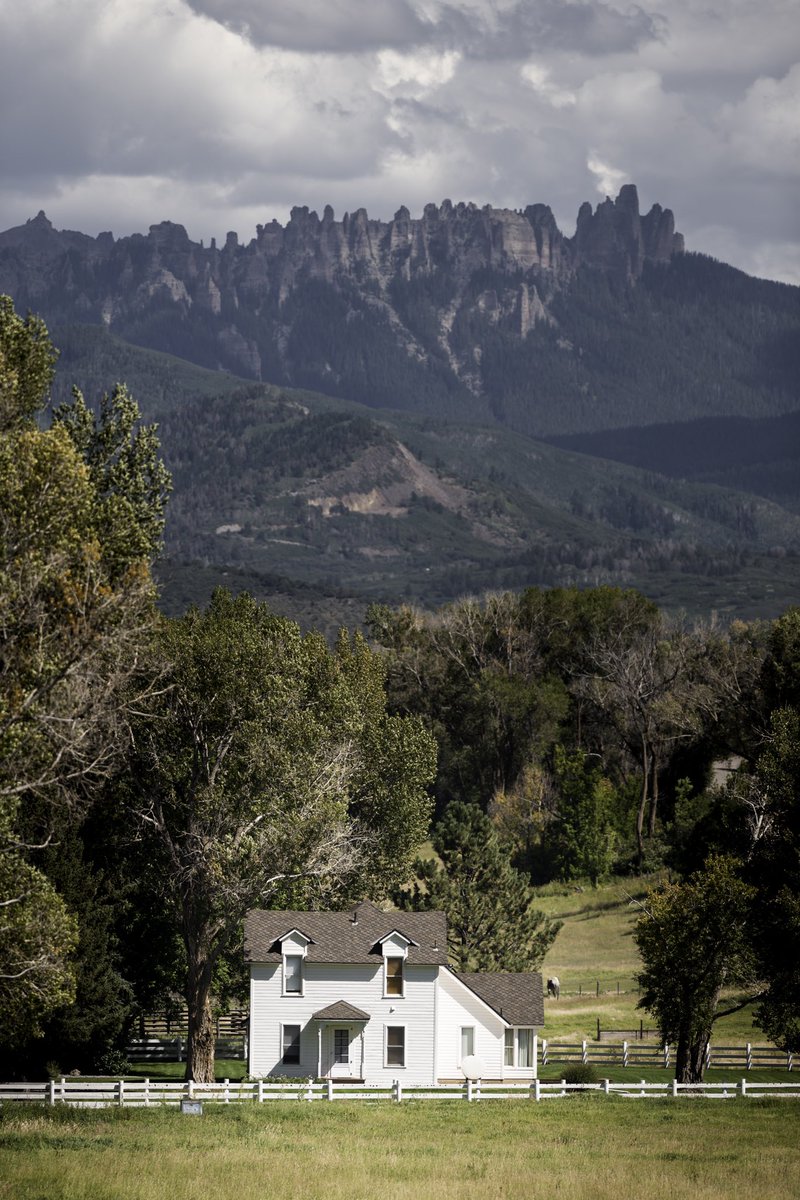 Annie May tweet media