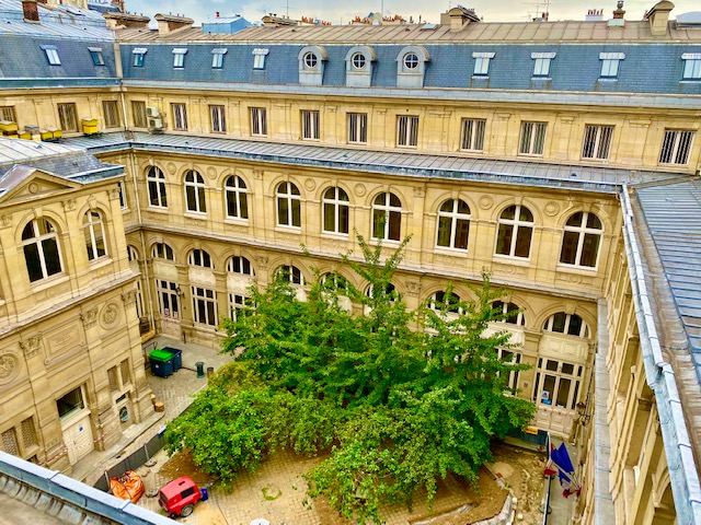 🔔 Les préparatifs à l' <a href="/AcademieClimat/">Académie du Climat</a> se poursuivent ! 
 
🌳 Véritable espace végétalisé, la cour vous permettra d'admirer pommiers et cerisiers 🍏 🍒
 
🍎 De quoi protéger notre biodiversité tout en profitant de ses bienfaits ! #TransitionClimatique