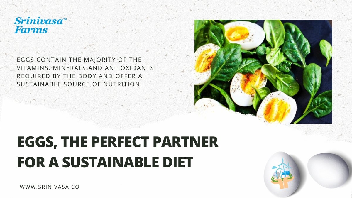 srinivasa_farms's tweet photo. With their low environmental impact, eggs are the perfect partner for affordable, healthy, and sustainable diets today.

#SrinivasaFarms #Eggs #Egg #EggProtein #EggsareSafe #EggsBoostImmunity #EggNutrition #PoultryIndustry #Poultry #Sustainability https://t.co/0NCxwvNp7a