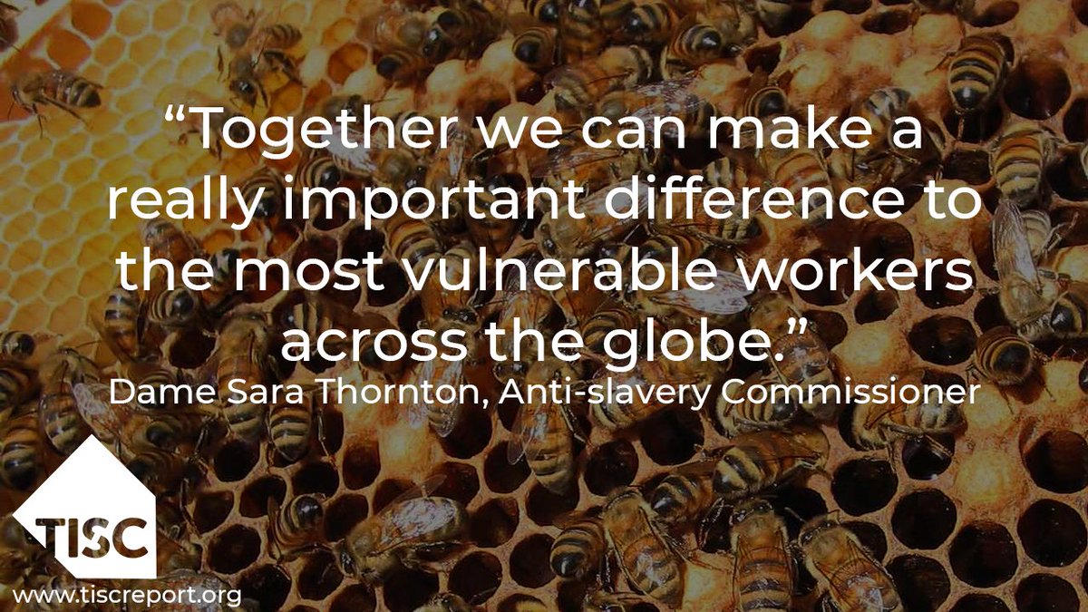 Independent Anti-Slavery Commissioner, Dame Sara Thornton(<a href="/UKAntiSlavery/">Independent Anti-Slavery Commissioner</a>) speaks on the impact of taking action against modern slavery in business supply chains.

Pledge to make a difference at tiscreport.org