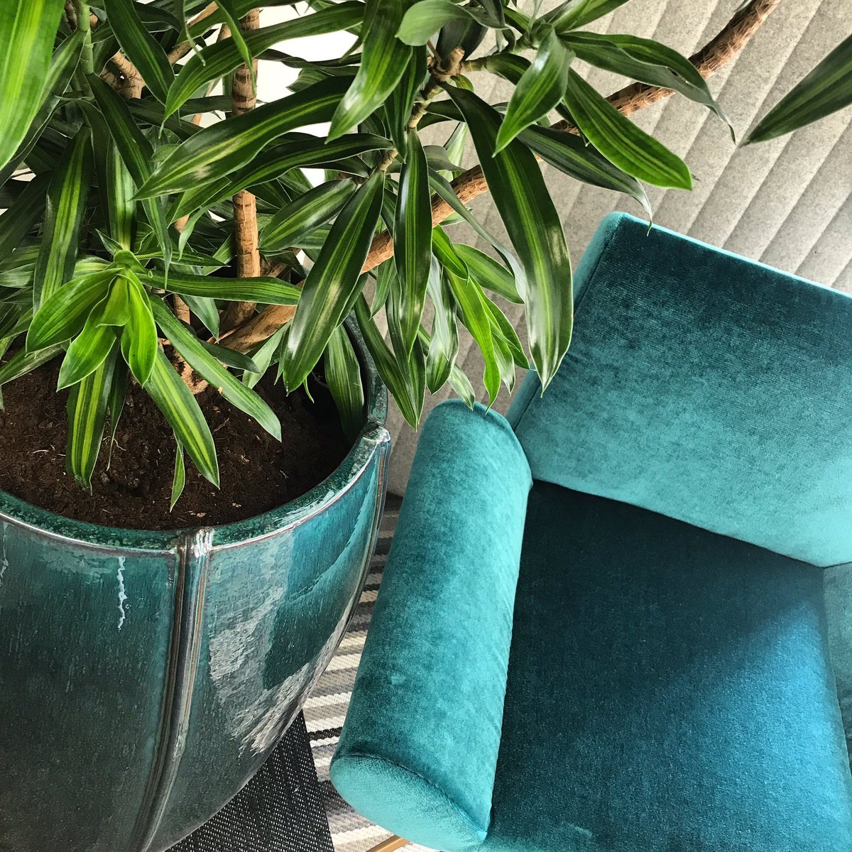 🥰 oooohh! The showroom is looking 👀 spectacular! #sneekpeek <a href="/exubialtd/">Exubia</a> #clerkenwellopen EXCITED