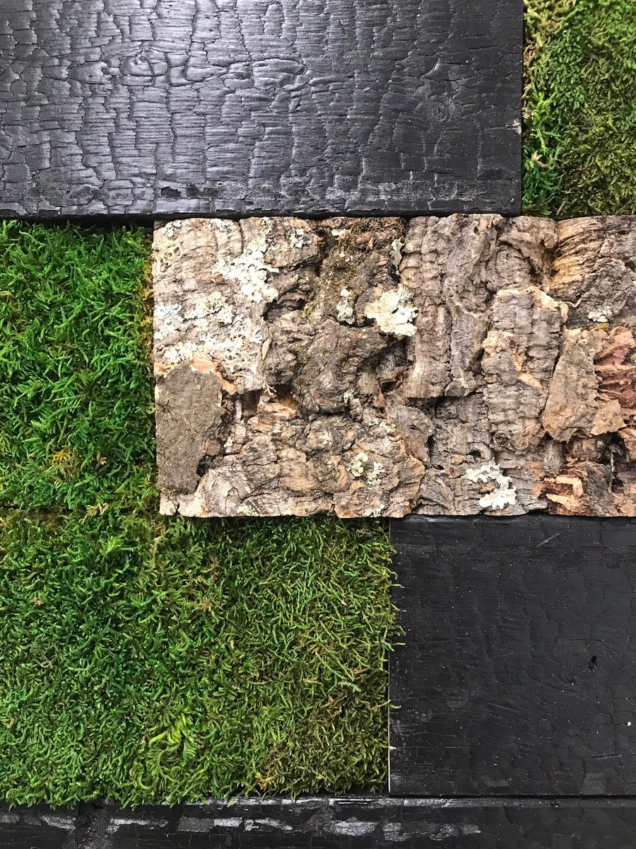 Sagal Group tweet media