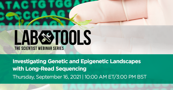 nanopore's tweet photo. Developments in nanopore sequencing have meant scientists can finally resolve repetitive DNA regions &amp; investigate their genetic &amp; epigenetic landscapes. In this webinar, learn how all 5 centromeres of Arabidopsis thaliana were resolved. https://t.co/KynE25HdjH https://t.co/bJcU4qgdc5