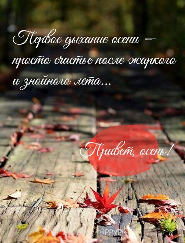 Осенние статусы. Осень расставание. У любви тоже есть осень. Осень в городе цитаты. Осенние цитаты.