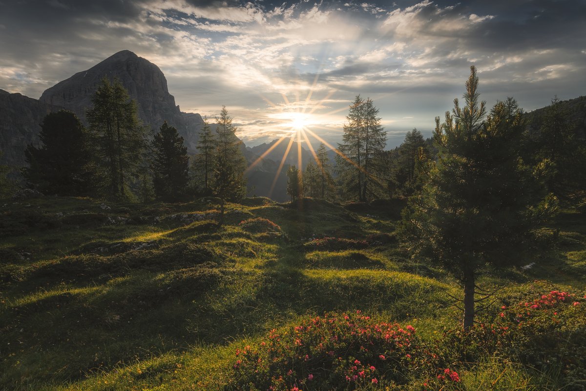 さとぅ 佐藤 悠大 Sugar2135 Twitter