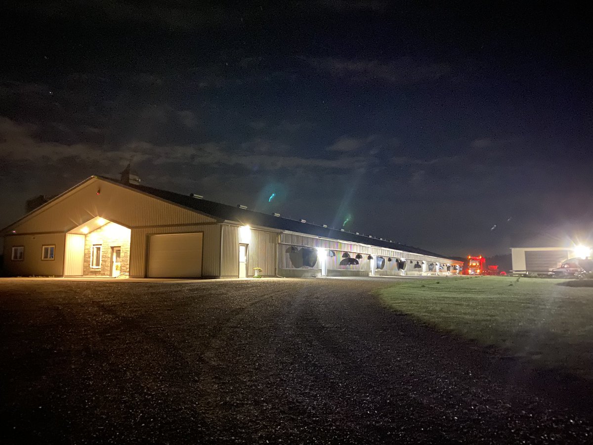 Beautiful morning to load this flock out. #gettheflockout #iheartchickenfarmers #farmtotable #onag #fallholidayscomingsoon