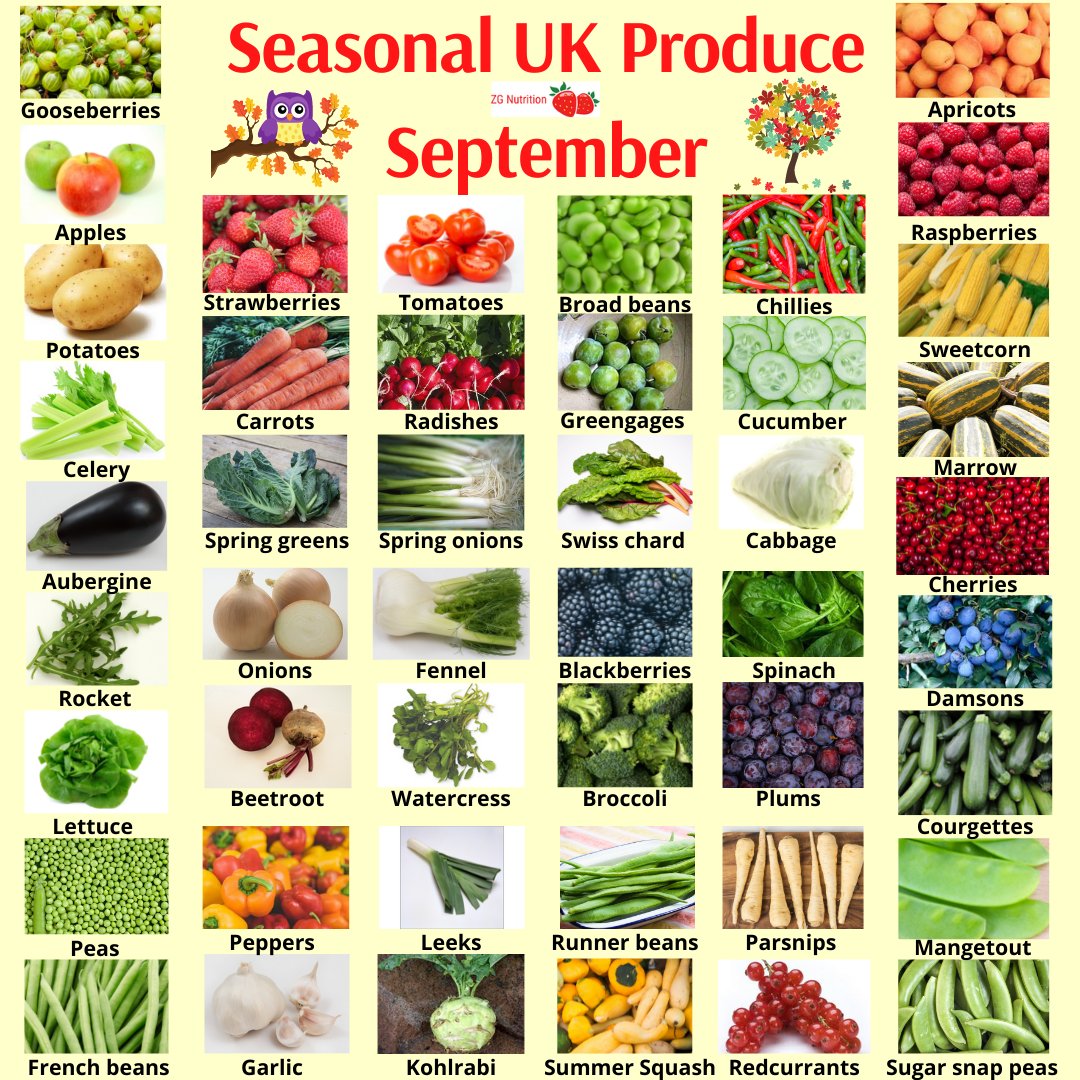 🍎What's in Season in the UK in September?

🥒There are so many fruit and veg in season in the UK in September

🍅If you grow your own, you'll be harvesting your crops now

🧅Have a look to find out which fruit and veg are in season in the UK now. #SeasonalVeg #eatseasonally