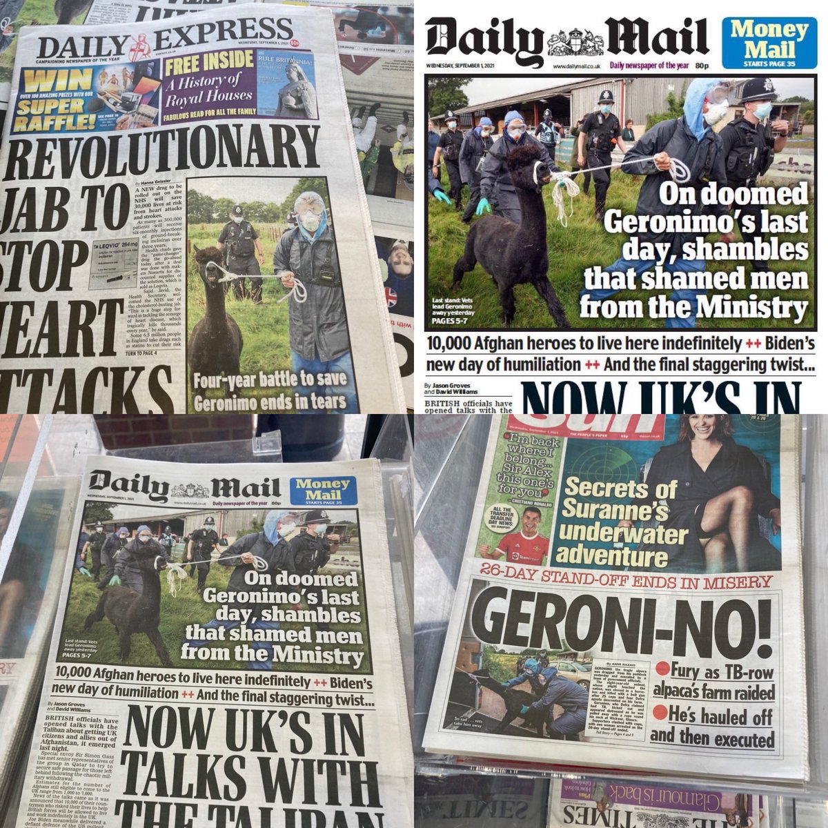 Absolute PR disaster for Boris Johnson today as George Eustice destroys the Governments animal welfare reputation in his barbaric Geronimo killing operation that is hitting all front pages <a href="/PeterEgan6/">Peter Egan</a> <a href="/DefraGovUK/">Defra UK</a> <a href="/BorisJohnson/">Boris Johnson</a> <a href="/ZacGoldsmith/">Zac Goldsmith</a> <a href="/alpacapower/">Helen Macdonald 🇺🇦🖤💜🖤</a> <a href="/IainTime/">Dr Iain McGill BSc(Hons) BVetMed MRCVS</a> <a href="/ChrisGPackham/">Chris Packham</a>