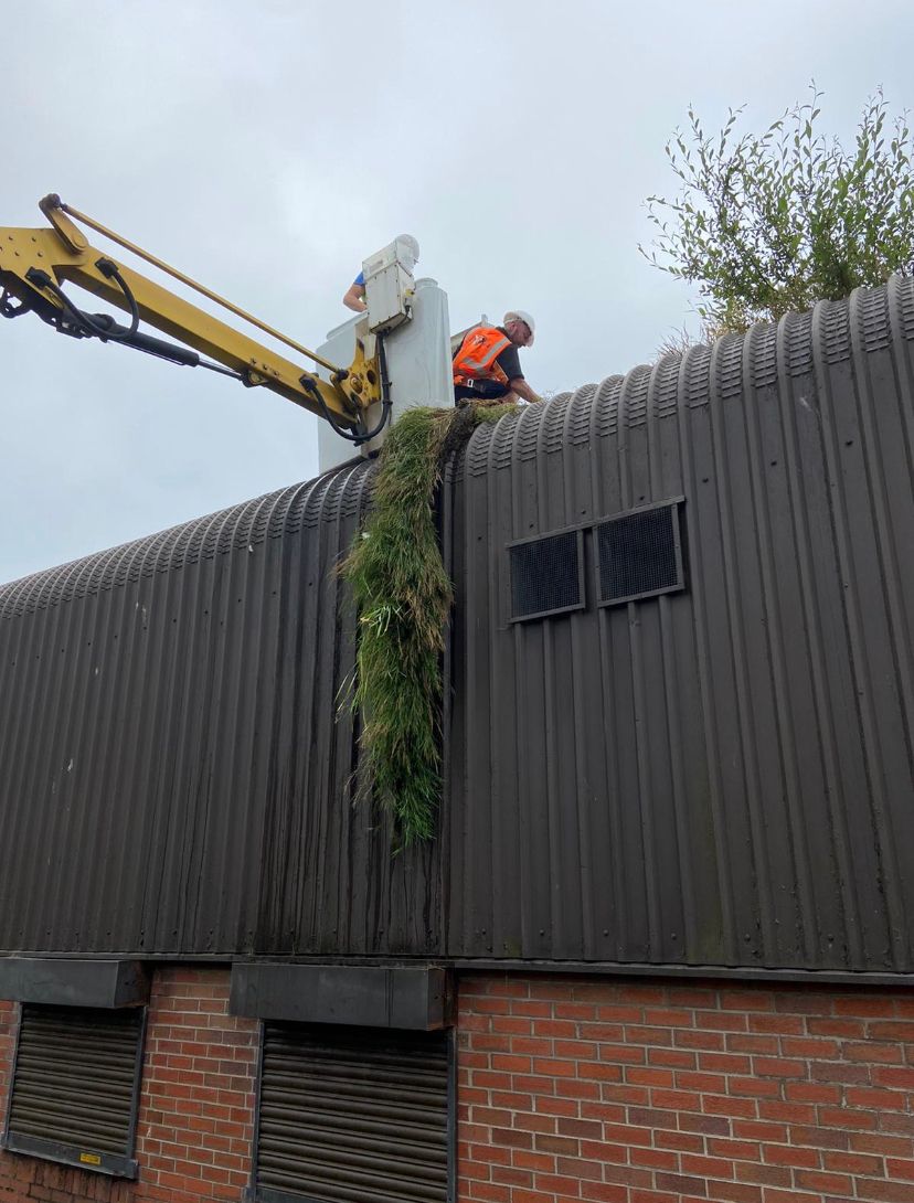 GutterProSophie's tweet image. No that&apos;s not the discarded feather boa of a missing cabaret act, it&apos;s the result of leaving it too long to get your gutters cleaned 😊

#guttercleaning #gutterpro