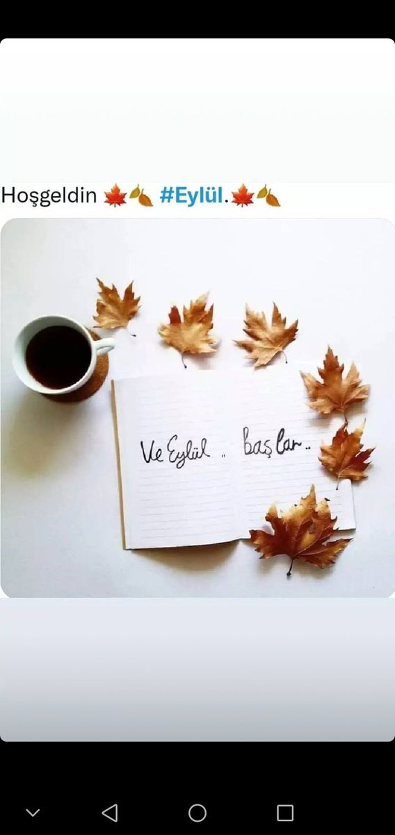 Ahmet Can Koç (@ahmetcankoc_) on Twitter photo 