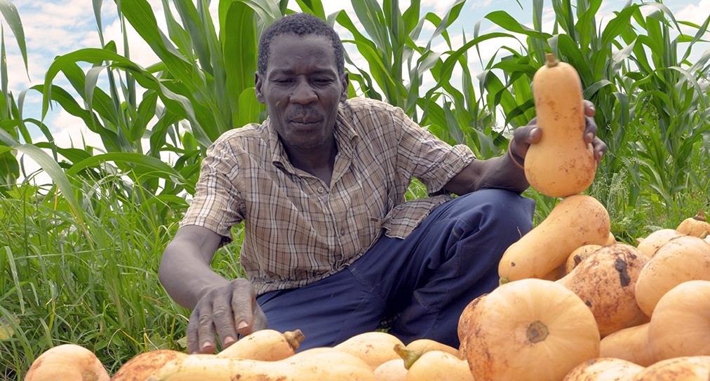 Fondation GCA (@fondationgca) on Twitter photo Lancé par la Fondation Grameen Crédit Agricole et <a href="/AFD_France/">Agence Française de #Développement (AFD) 🇫🇷 🇪🇺</a>, le programme Facilité Africaine soutient la #microfinance rurale en Afrique subsaharienne. Découvrez l'impact du dispositif avec l'interview de Jack Ngoma, Directeur Exécutif de MLF Zambie.
bit.ly/38yaCjr Lancé par la Fondation Grameen Crédit Agricole et <a href="/AFD_France/">Agence Française de #Développement (AFD) 🇫🇷 🇪🇺</a>, le programme Facilité Africaine soutient la #microfinance rurale en Afrique subsaharienne. Découvrez l'impact du dispositif avec l'interview de Jack Ngoma, Directeur Exécutif de MLF Zambie.
bit.ly/38yaCjr
