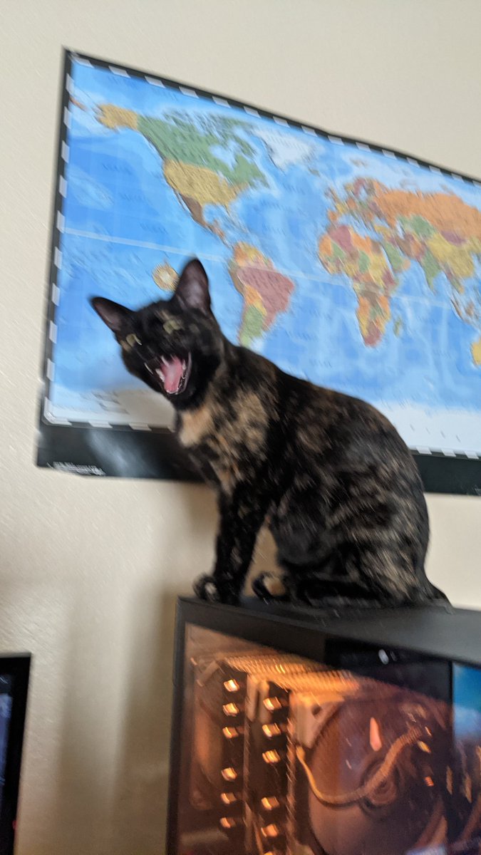 Noodle_Babey's tweet photo. demon time., https://t.co/03zbeMInW5
