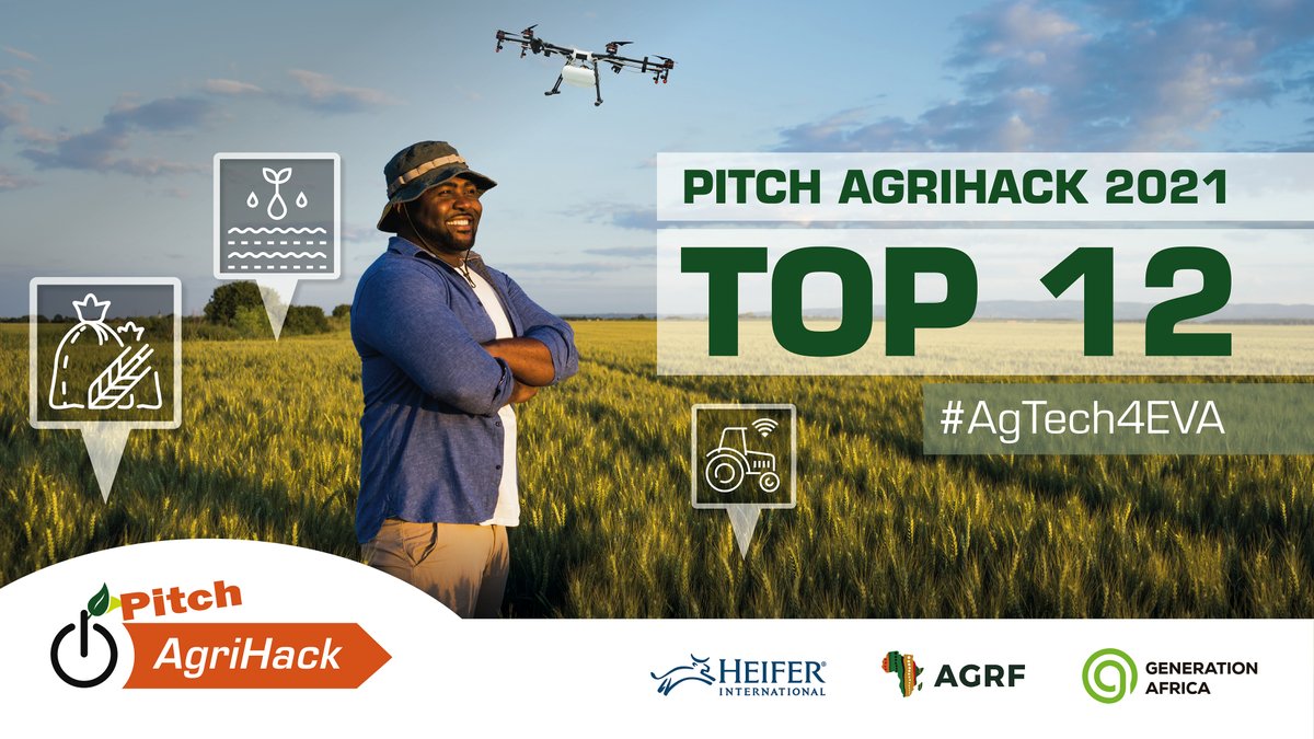 GoGettaz Africa tweet media