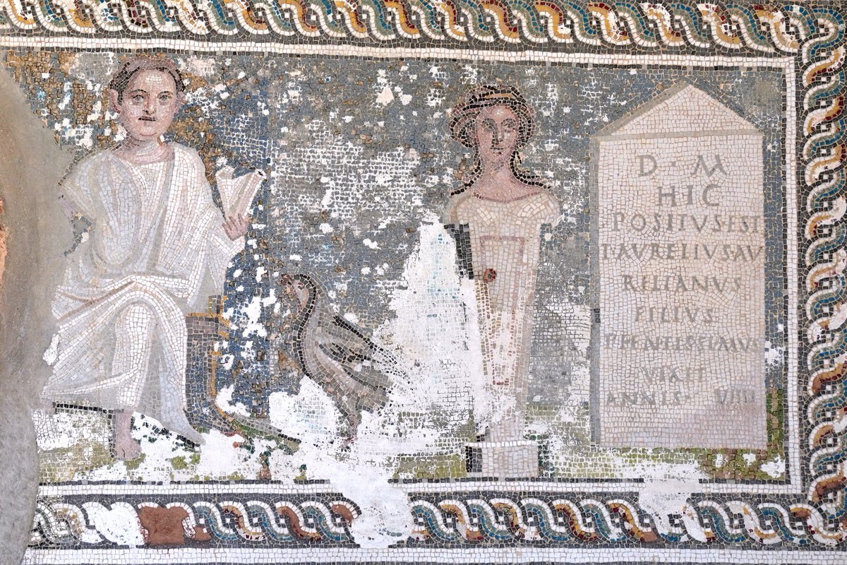 chapps's tweet photo. A bit late for #EpigraphyTuesday, but here's a wonderful mosaic with a funerary theme (odd?). It seems to show a learned boy or man with a scroll, wearing a toga, sitting next to a duck (?) and a fully #polychromed Herm. And a child's tombstone. Is that the boy on the left? 1/ https://t.co/svNCjSZSqC