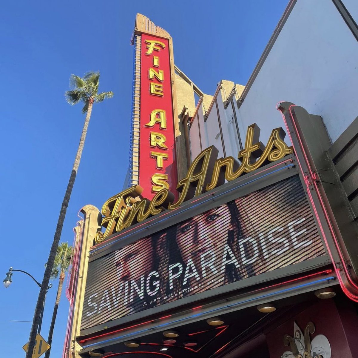 Premiere di #SavingParadise al Fine Arts Theatre a Beverly Hills