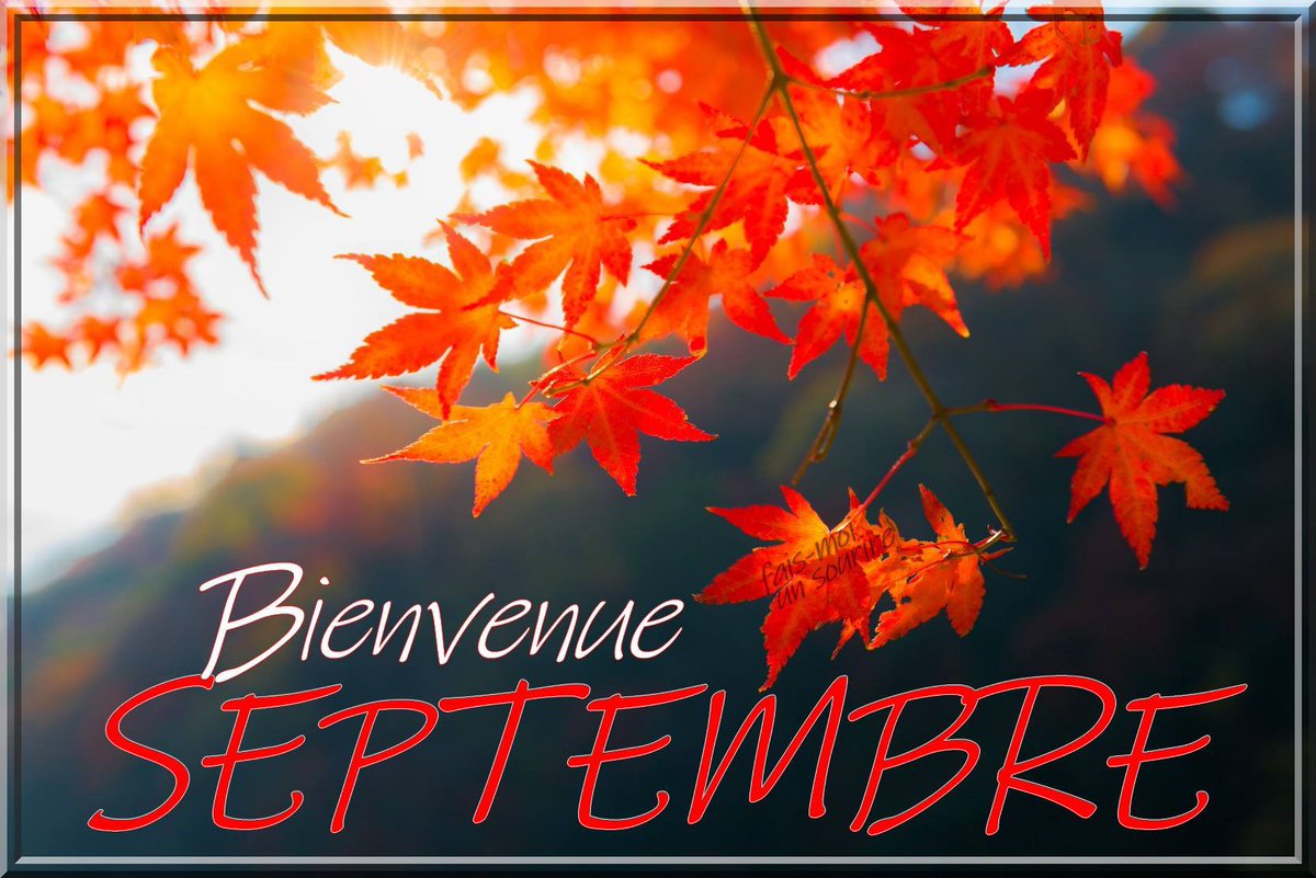 Hyndland_ML's tweet image. A new month and a new season 🍁 #septembre #septiembre 
#automne #otoño