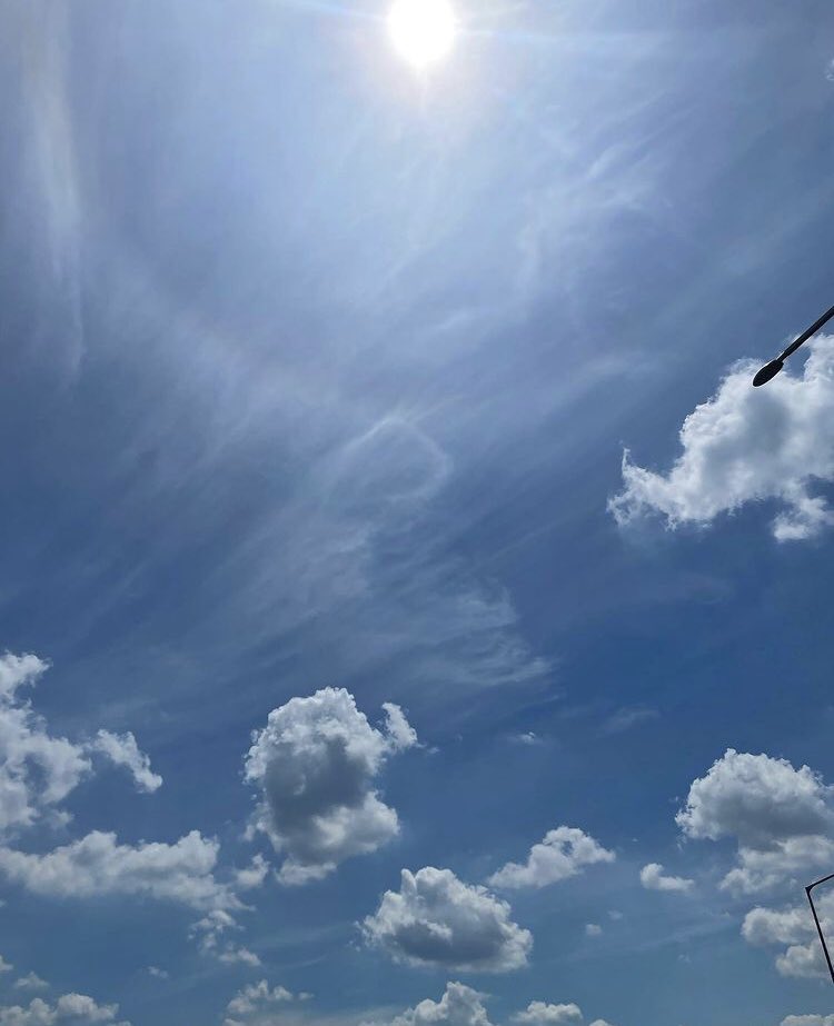 httpgap's tweet image. where to, miss?