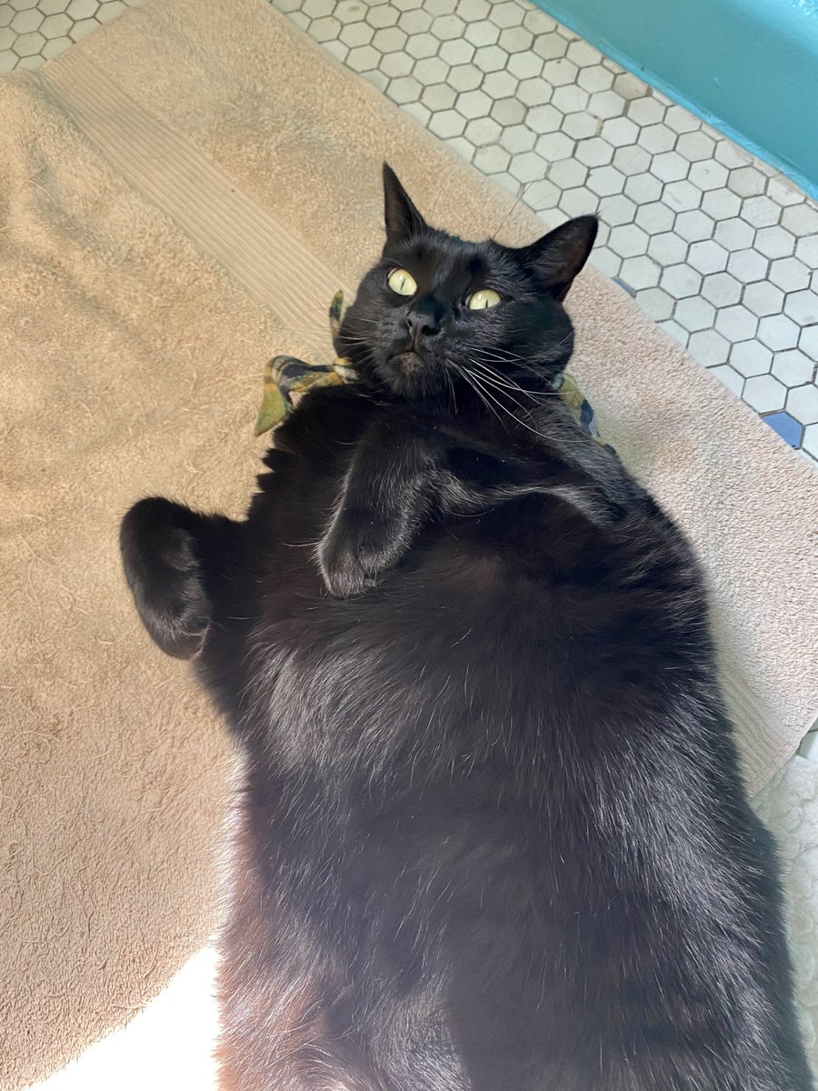 Galaxy Xippy Rodriguez tweet media