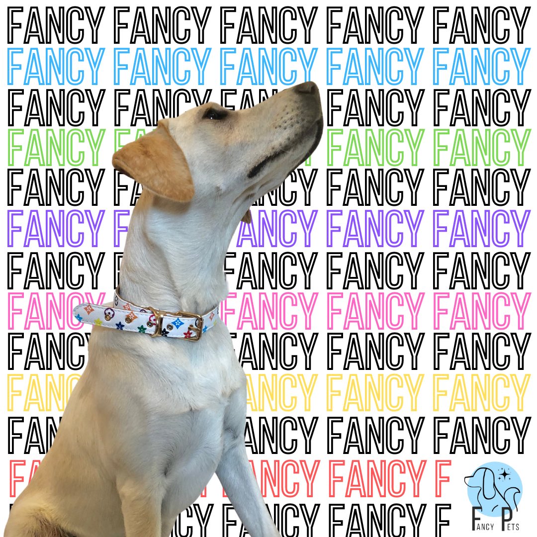 fancypetsstore's tweet photo. Life is short… Spoil your pet ✨💙
.
.
.
.

#petshop #pet #dog #fancy #cat #dogs #humpday #petlovers #fancy #petshoponline #doglovers #instadog #dogsofinstagram #cats #Wednesday #petsofinstagram #love #petstore #petstagram #fancypets #digitalmarketing #bhfyp https://t.co/tOJ328AAGL