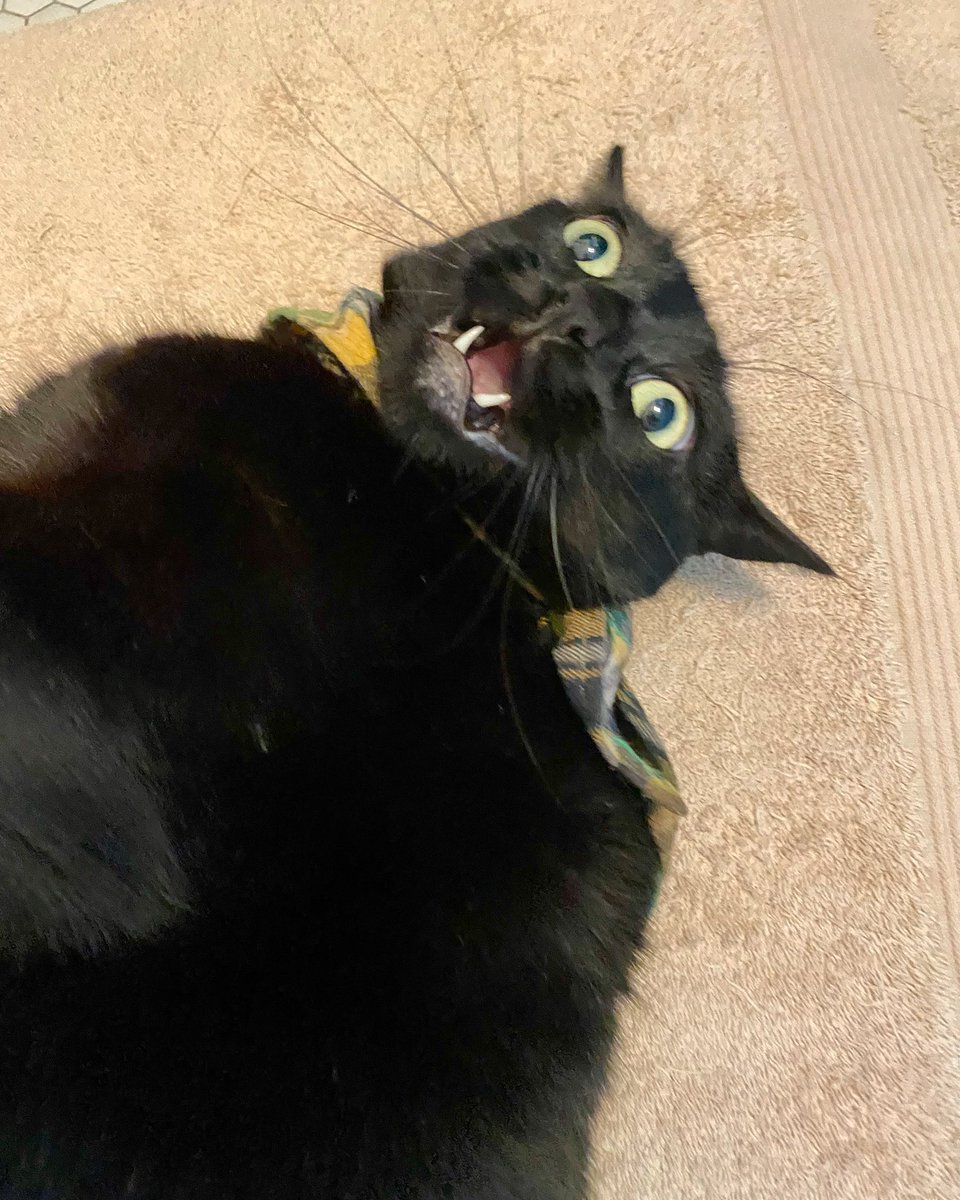 Galaxy Xippy Rodriguez tweet media