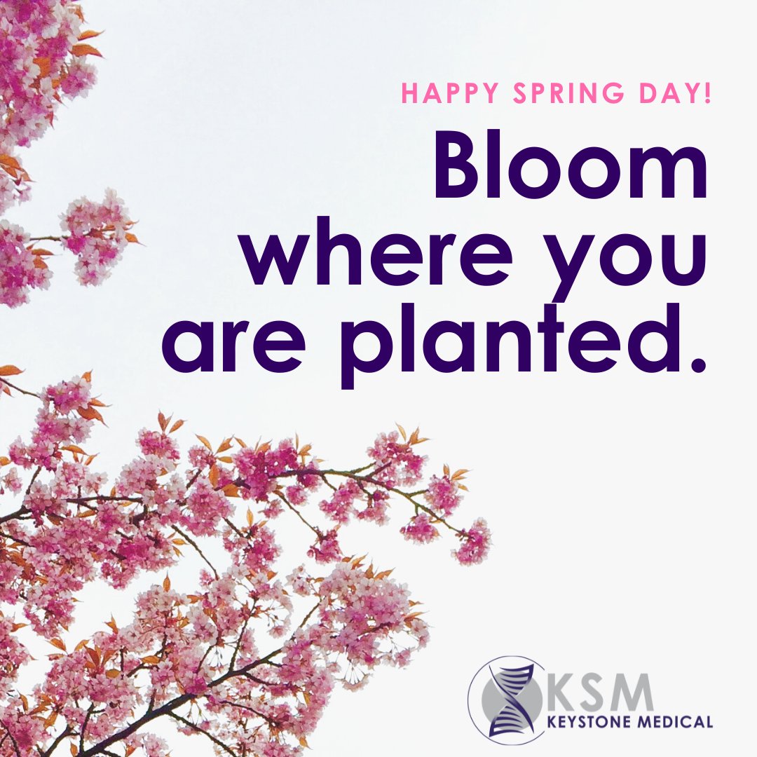 KeystoneMedSA's tweet photo. Spring has sprung! Enjoy your Spring Day everyone! #NewSeasonOfHealth https://t.co/7Uf26OiqdT