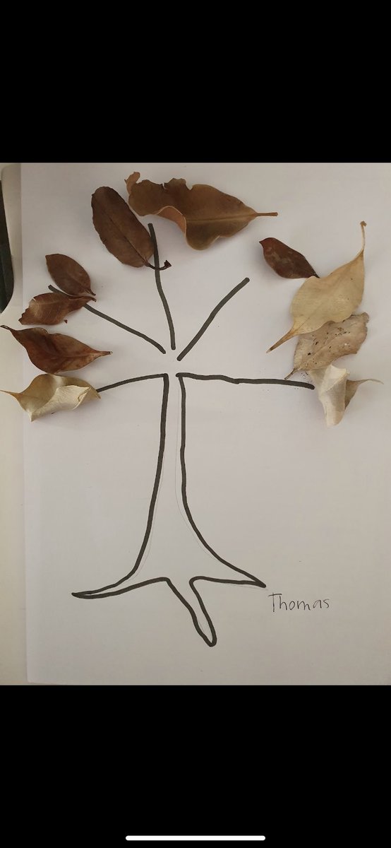 3M have brought the outdoors, indoors this week! Getting creative with some nature inspired art! 🍃 <a href="/FairWestPS/">Fairfield West PS</a> <a href="/Genelle029/">Genelle Petruszenko</a> <a href="/nessinmalawi/">Vanessa MAH CHUT</a>