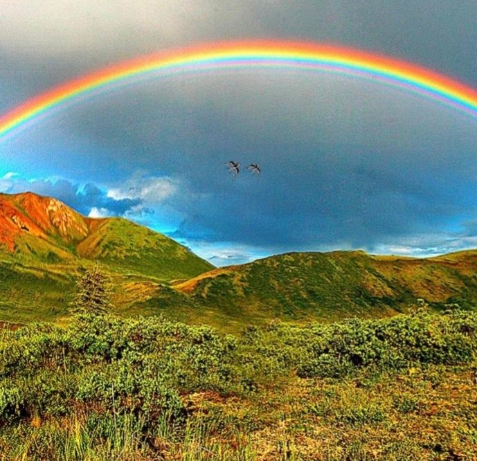 Happy new month to you and your family ❤️😘🌹🍀🎄🙏あなたとあなたの家族に幸せな新しい月。