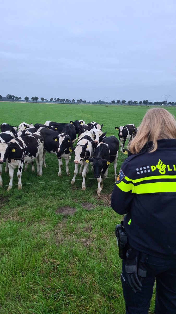 Melding politie Noordveensedijk in Gieten