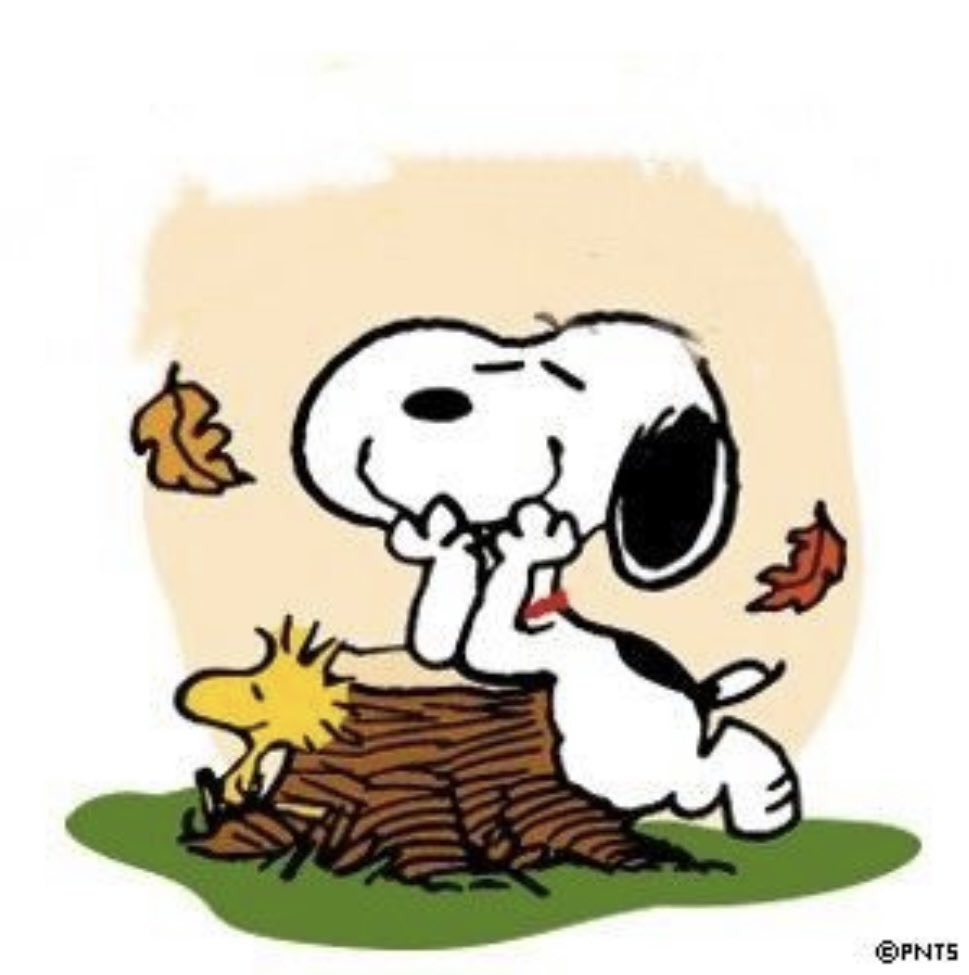 fedram67's tweet image. Buongiorno! 🍂

#SeptemberBeGood