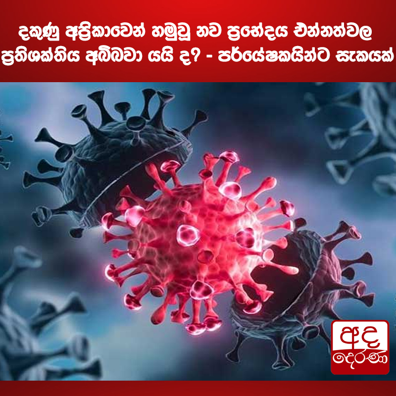 adaderanasin's tweet photo. දකුණු අප්‍රිකාවෙන��� හමුවූ නව ප්‍රභේදය එන්නත්වල ප්‍රතිශක්තිය අබිබවා යයි ද? - පර්යේෂකයින්ට සැකයක්

#adaderanasinhala #covid19 #lka

වැඩි විස්තර - https://t.co/y3hACESaH0 https://t.co/50cu2fDycC