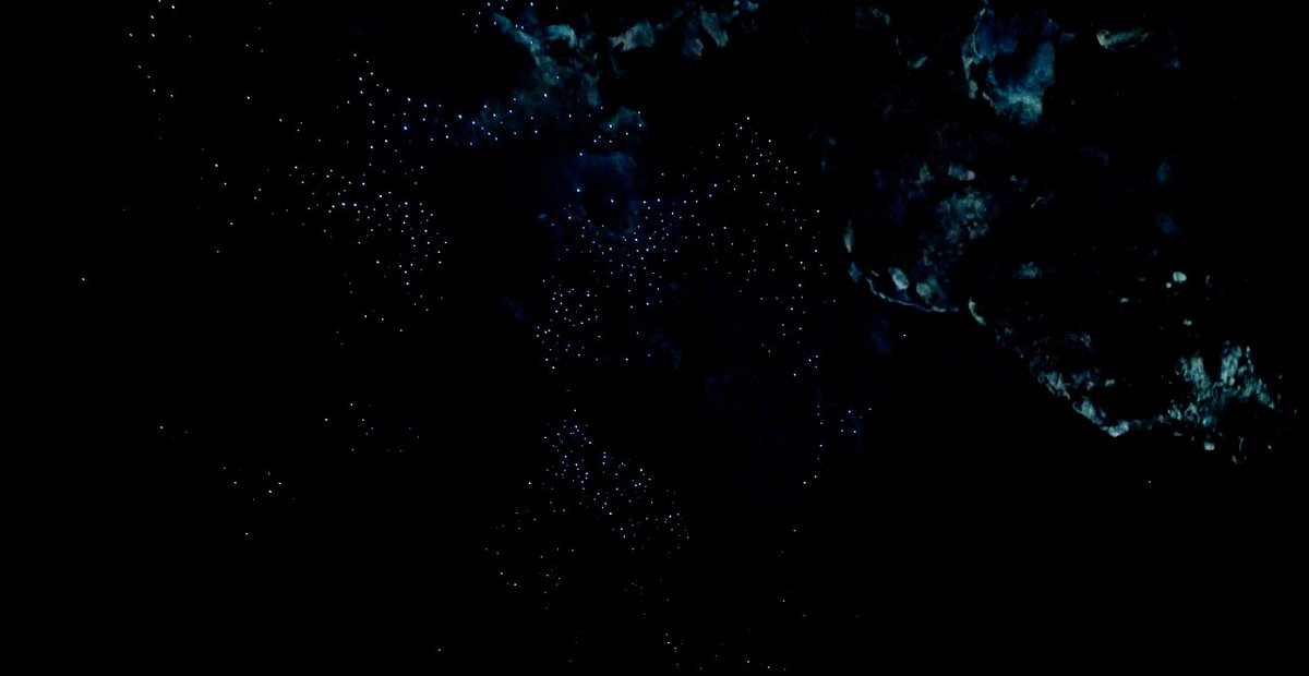 BioLens_Cells's tweet image. Living Art api.nationalgeographic.com/distribution/p…