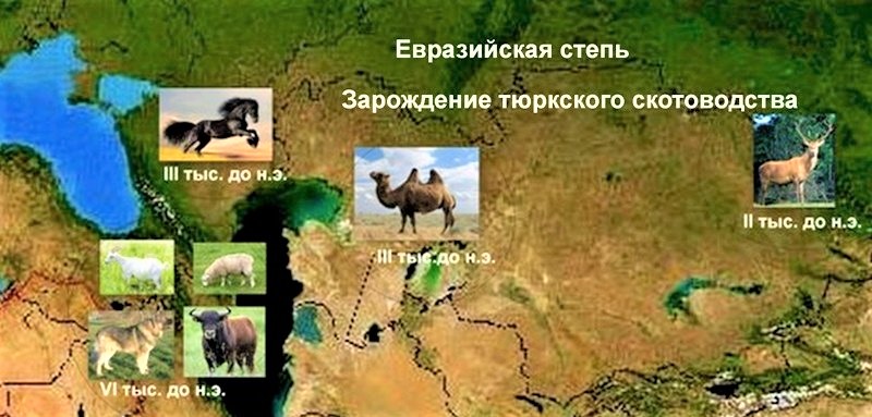 Степная евразия. Евразийская степь. Великая степь Евразии. Карта Великой степи Евразии. Евразийская степь Великая степь.