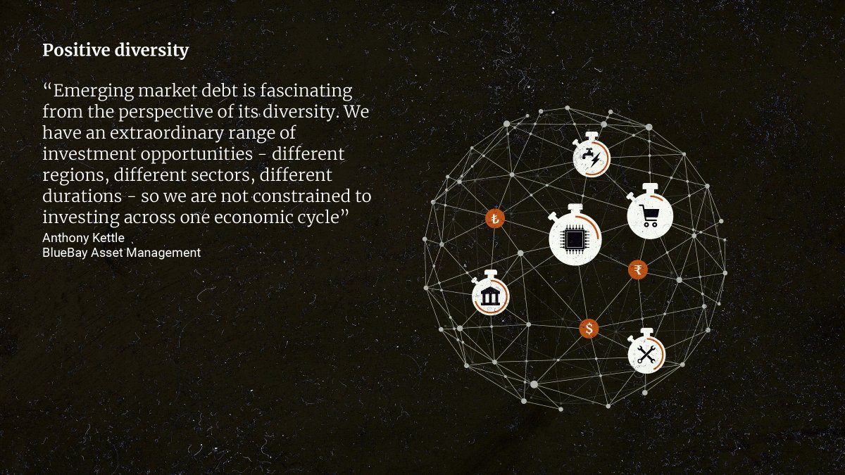 editorial_ltd's tweet photo. The latest piece of content we've created for @sjpwealth is on emerging market debt and features the views of Anthony Kettle of @BlueBayAM. Particularly fond of the "birds of finance" graphic in this one, which explains the use of the terms doves and hawks in monetary policy. https://t.co/5w9udJpAGC