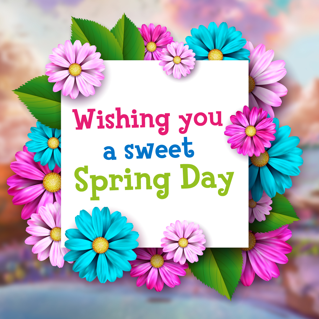 MisterSweetSA's tweet image. Spring is all about new beginnings and the sweet joy of newfound hope. With things warming and brightening up, tell us which sweets you’re excited to try this #SweetSpring? 😁

 #SpringDay