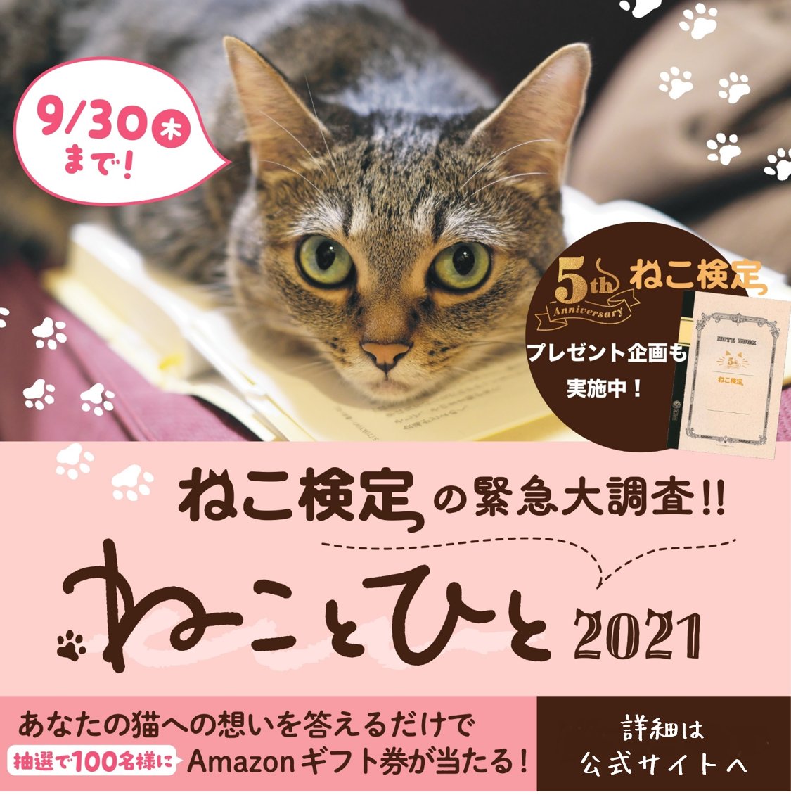 ニャンとも清潔トイレ【公式】 (@kao_nyantomo) / Twitter