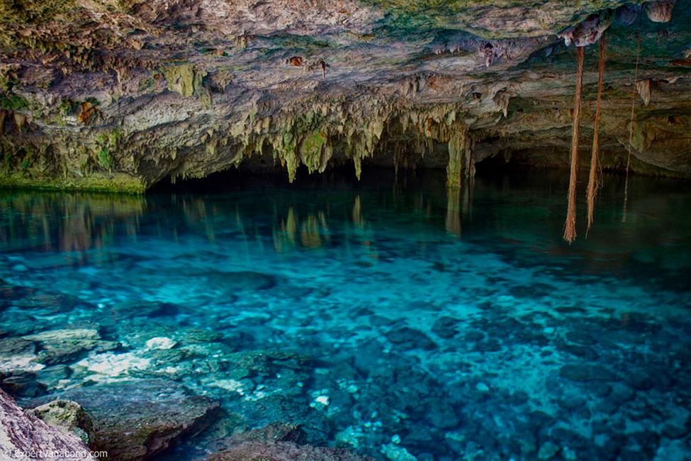 DeepMexico1's tweet image. Gustavo Dietz Moch was the first to discover the cenote of Punta Laguna with more than 80 skeletons inside (it is documented), since then he makes excursions and tours to dive in cenotes of Tulum and the Riviera Maya.

More details: bit.ly/3t5pAac
DM on: +52 984 157 5464