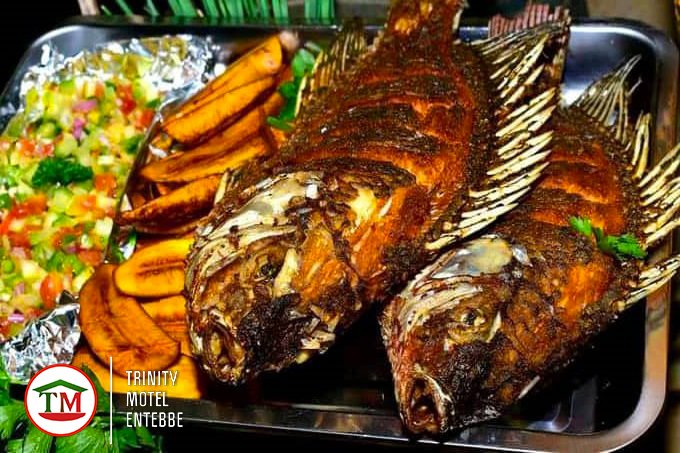 TrinityMotel's tweet photo. Every #newmonth is an opportunity for a fresh start, and it is our duty to help you do just that 😊

Explore and book the best hospitality offerings in #Entebbe today 👇👇  

☎ 0778563810 / 0708174398
📲 WhatsApp: https://t.co/nhPaVogg8y
🌐 https://t.co/8ISStelgVU https://t.co/GsdoAJFcN1