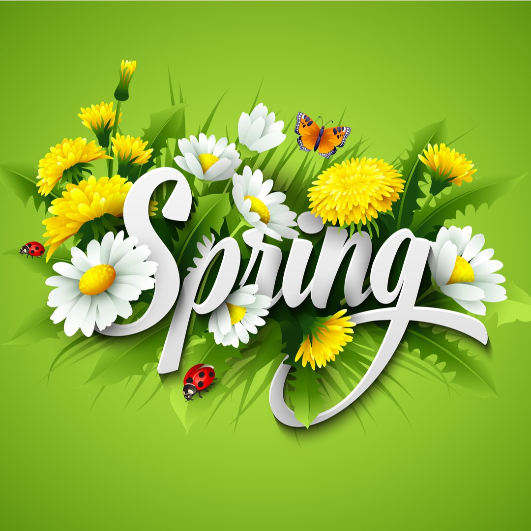“Spring is the time of plans and projects.” ― Leo Tolstoy, Anna Karenina. Have a wonderful Spring Day from the Direct Debit Team. #debitorder #payments #paymentcollection #emandate #recurringpayments #debicheck