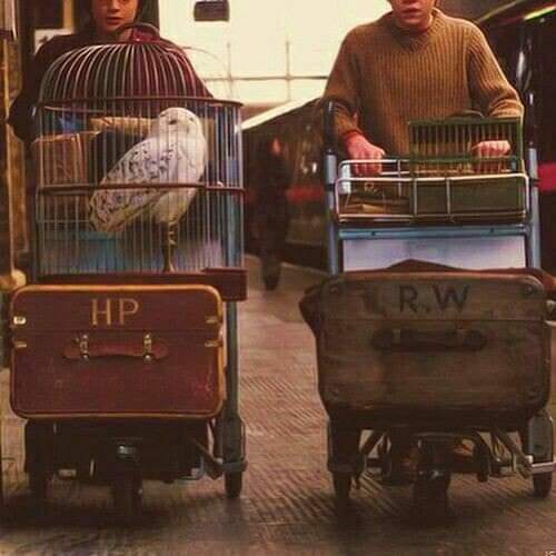 1ro de Septiembre
FELIZ BACK TO HOGWARTS. ⚡🔙💛🤎✨
#BackToHogwarts #HarryPotter #hogwarts