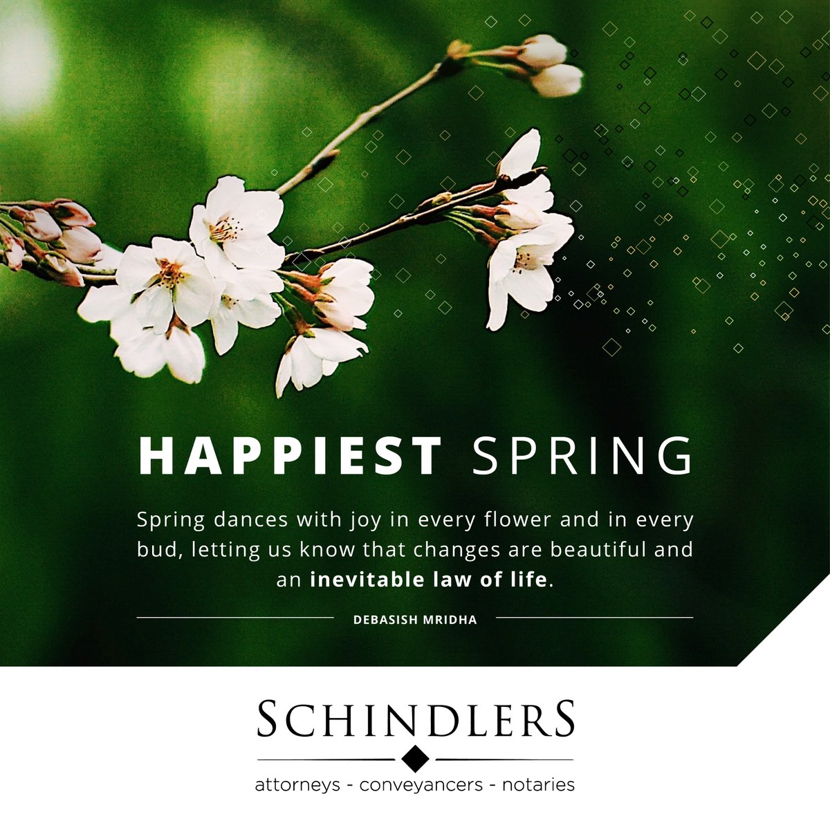 Happiest Spring Day! 

'Spring dances with joy in every flower and in every bud, letting us know that changes are beautiful and an inevitable law of life.'  Debasish Mridha 

#schindlersattorneys #lawoflife #growthandchange #springdaysouthafrica