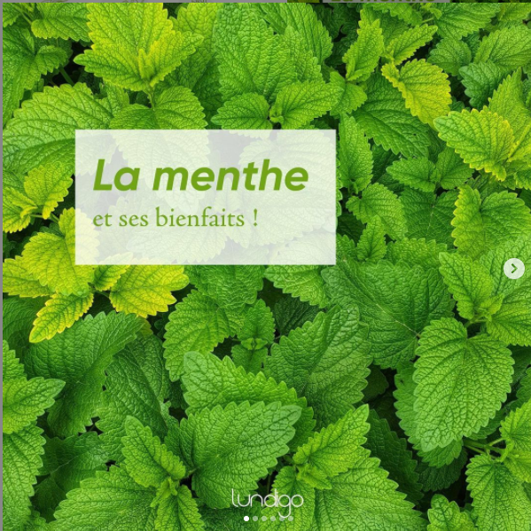 LundigoOfficiel's tweet photo. Saviez vous que depuis l’Antiquité, la menthe est reconnue pour ses capacités à relâcher les muscles, à traiter les problèmes digestifs et pour ses vertus antiseptiques et tonifiantes? Elle se marie également très bien avec la fraise. Pourquoi s'en priver ?
#Sante #astuce #Mojito https://t.co/VhtAlPQngN
