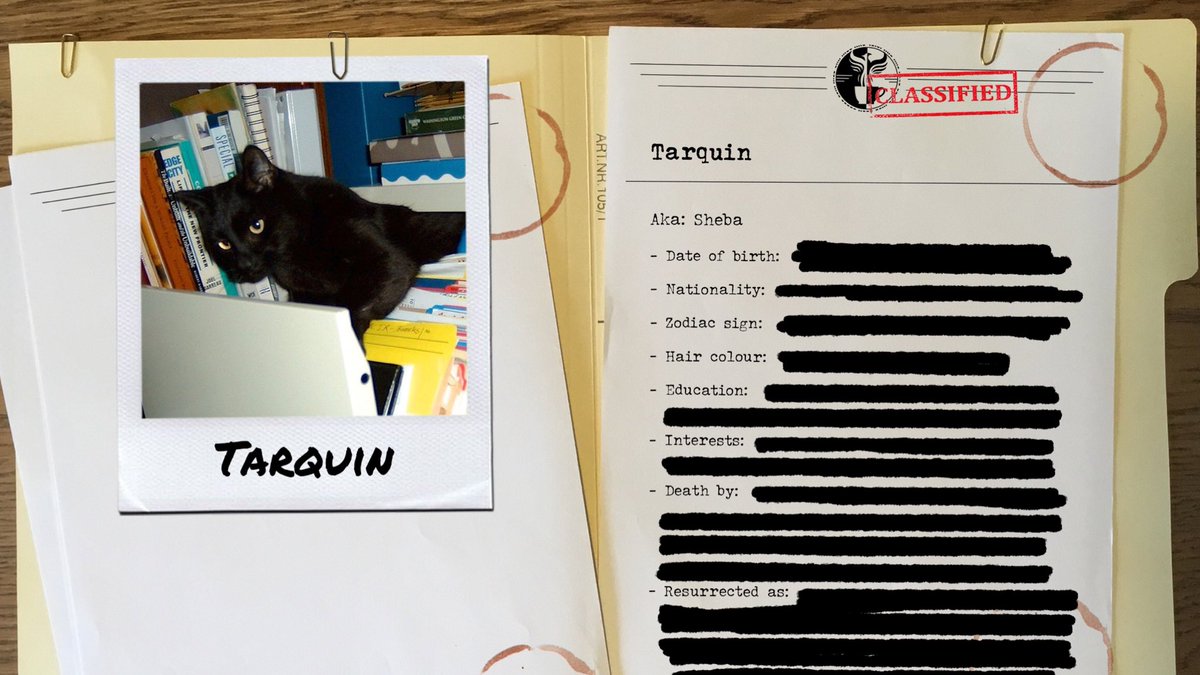 The Amelia Project (@amelia_podcast) on Twitter photo FIRST S4 CAST REVEAL:
Tarquin (ca. 2001–2018*) plays Sheba. He was adopted by <a href="/forgeryleague/">Eli Hamada McIlveen</a> & <a href="/passitalong/">Sean Howard</a> in 2002, & by a striking coincidence, Eli's mother already had a cat by that name. The 2 Tarquins were never observed in the same place at the same time.
#CocoaCollabs 😉 FIRST S4 CAST REVEAL:
Tarquin (ca. 2001–2018*) plays Sheba. He was adopted by <a href="/forgeryleague/">Eli Hamada McIlveen</a> & <a href="/passitalong/">Sean Howard</a> in 2002, & by a striking coincidence, Eli's mother already had a cat by that name. The 2 Tarquins were never observed in the same place at the same time.
#CocoaCollabs 😉