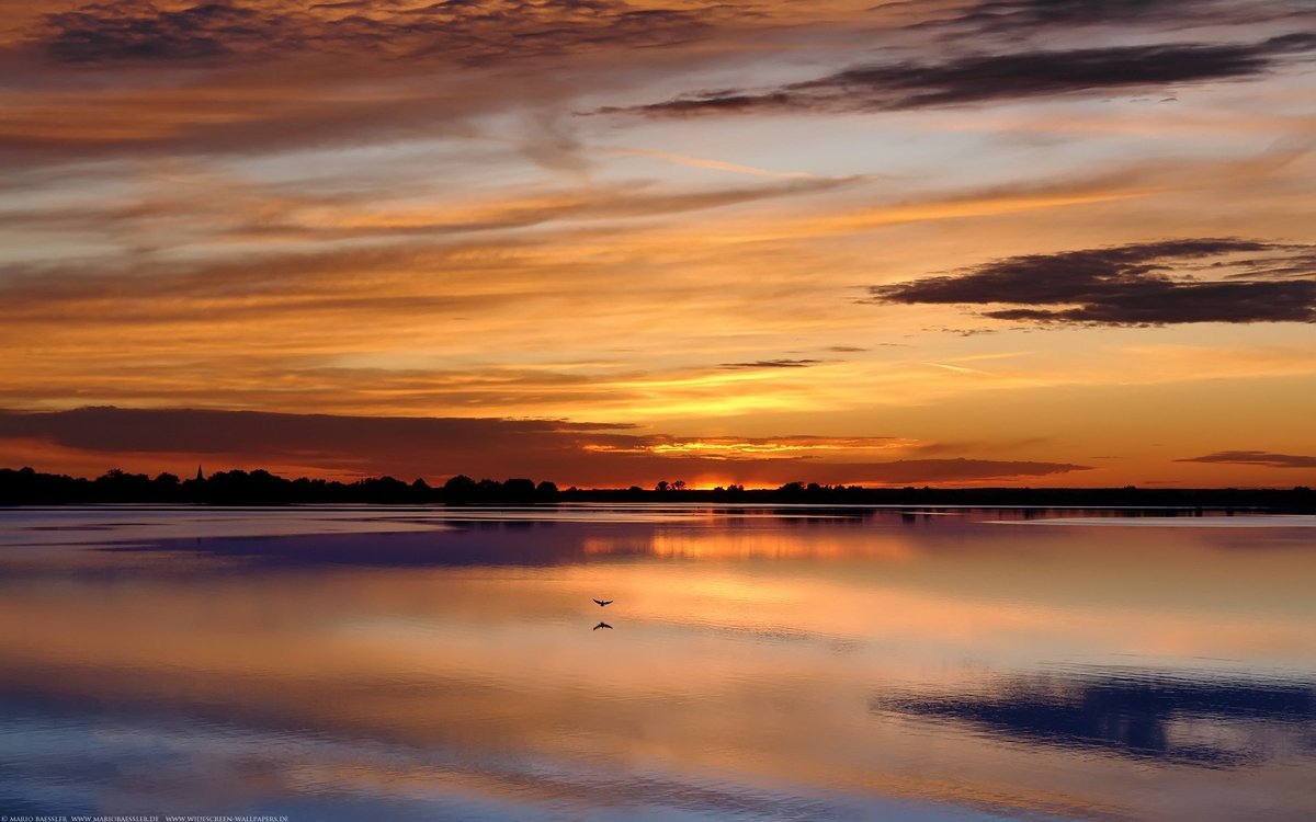 Cada cosa tiene su belleza, pero no todos pueden verla.