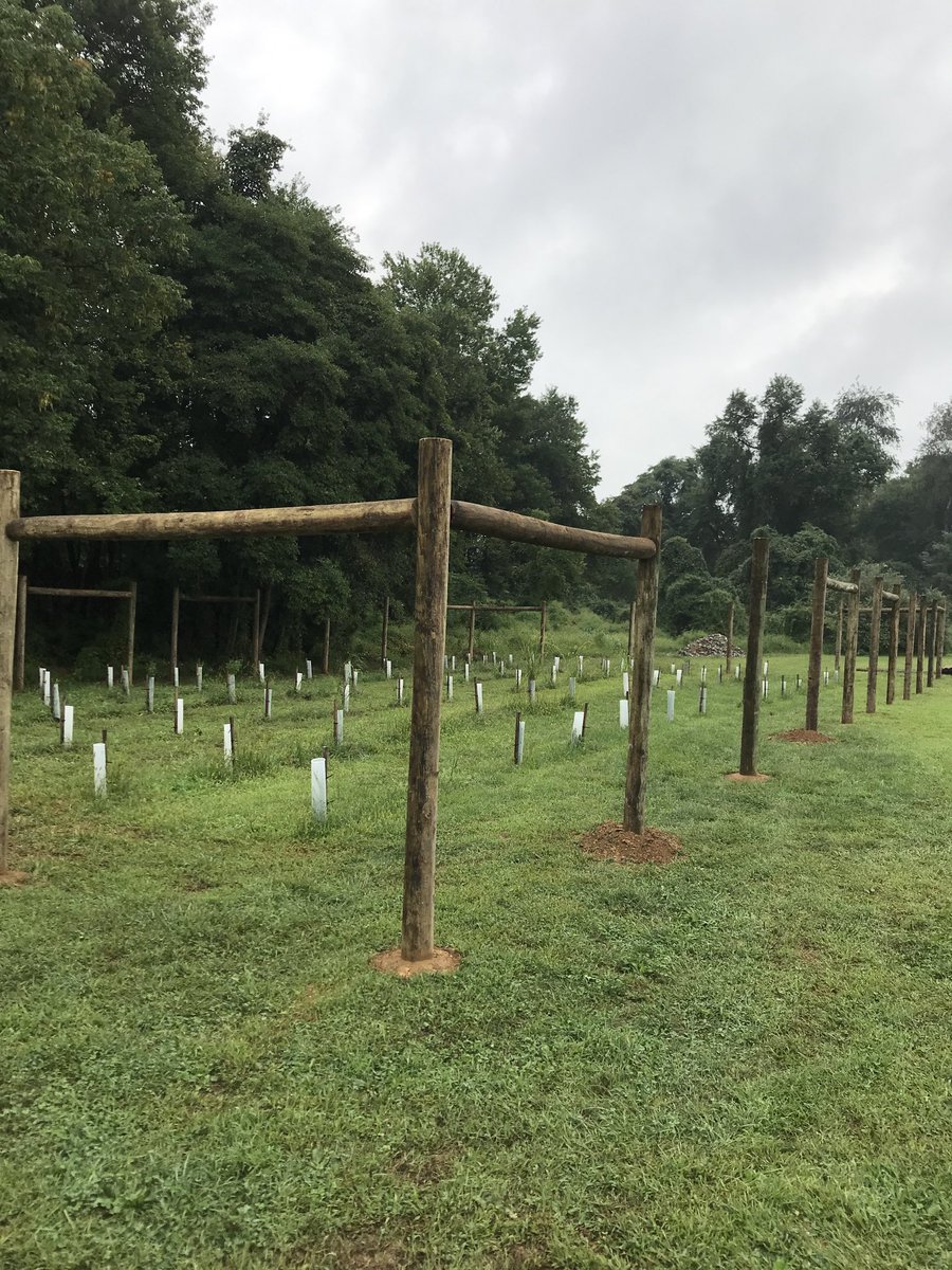 Steve Dissinger tweet media