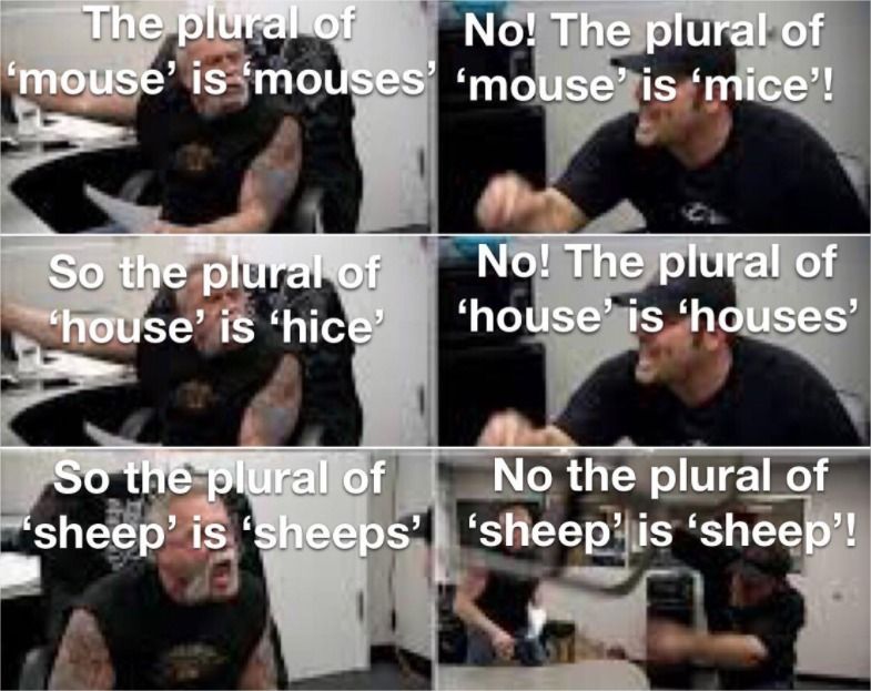 voxabular tweet media