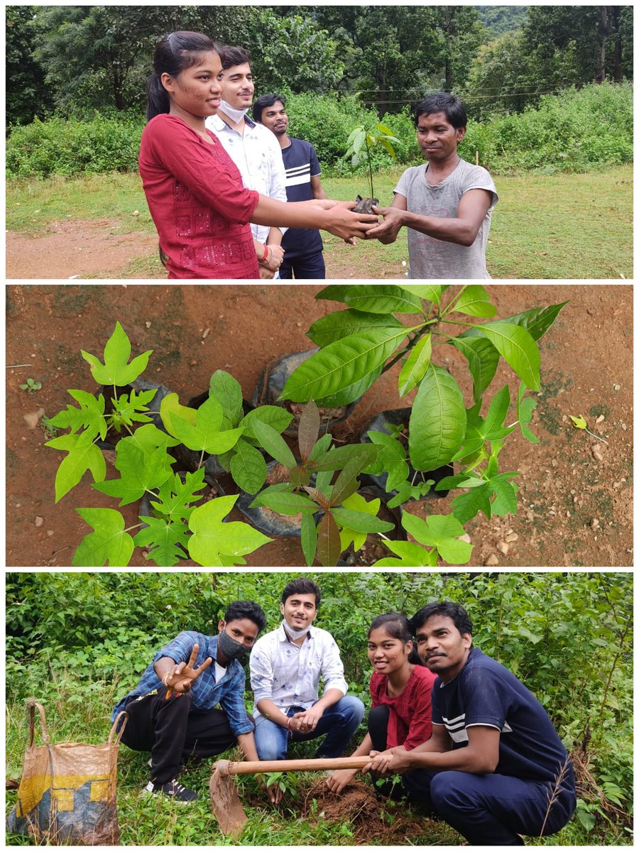 उलगुलान फाउंडेशन की वर्षगांठ पर मुंडा की उपस्थिति में वृक्षारोपण एवं वृक्ष वितरण का कार्यक्रम किया गया प्रकृति की रक्षा एवं स्थानीय लोगों के लिए पोस्टिक फलों की उपलब्धि हमारा लक्ष्य है|